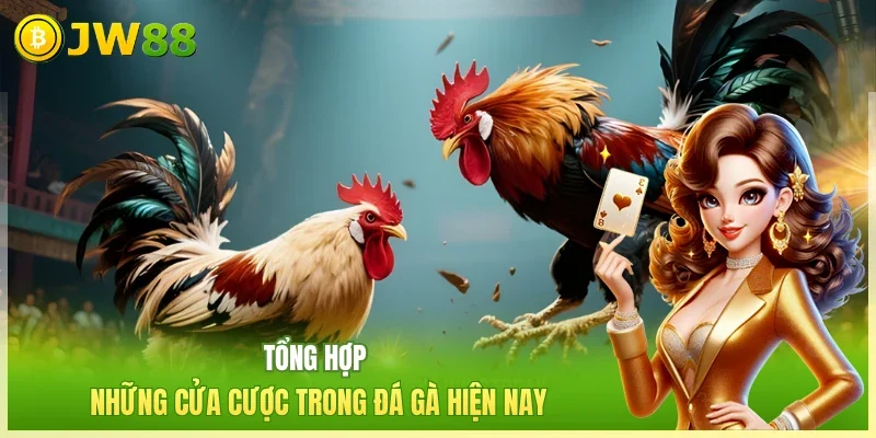 Đá Gà Cựa Dao - Trải Nghiệm Đấu Trường Kịch Tính 2026 Đá Gà Cựa Dao - Trải Nghiệm Đấu Trường Kịch Tính 2026