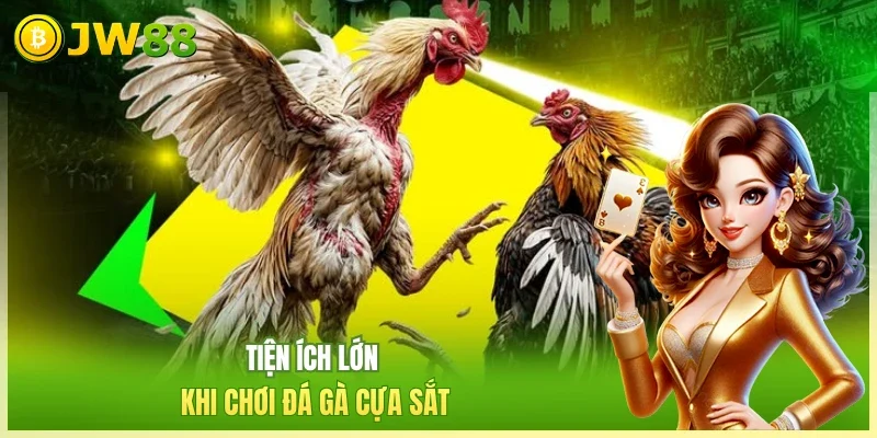 Đá Gà Cựa Sắt - Đa Dạng Kèo, Tiền Thưởng Đến 10 Tỷ Đồng Đá Gà Cựa Sắt - Đa Dạng Kèo, Tiền Thưởng Đến 10 Tỷ Đồng