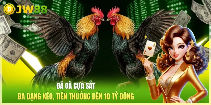 Đá Gà JW88: Đấu Trường Trực Tiếp Uy Tín Số 1 Châu Á 2026