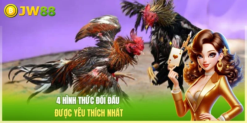 Đá Gà Thomo Sảnh Cược Đem Đến Các Màn Giao Tranh Hot Nhất Đá Gà Thomo Sảnh Cược Đem Đến Các Màn Giao Tranh Hot Nhất