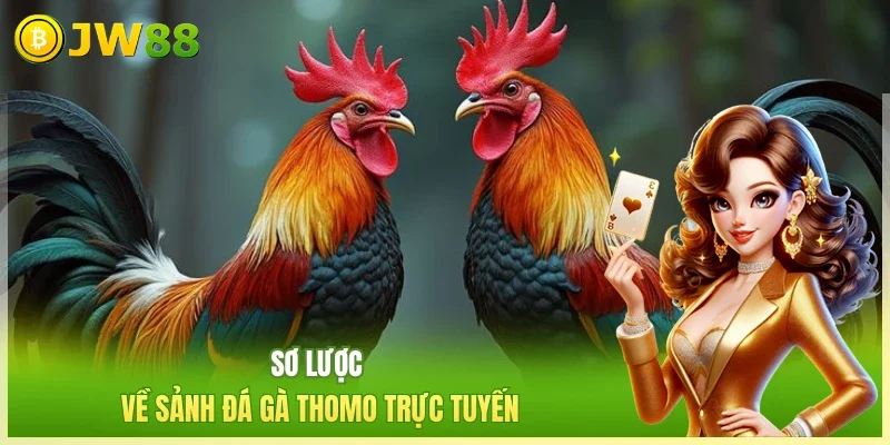 Đá Gà Thomo Sảnh Cược Đem Đến Các Màn Giao Tranh Hot Nhất Đá Gà Thomo Sảnh Cược Đem Đến Các Màn Giao Tranh Hot Nhất