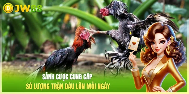 Đá Gà Thomo Sảnh Cược Đem Đến Các Màn Giao Tranh Hot Nhất Đá Gà Thomo Sảnh Cược Đem Đến Các Màn Giao Tranh Hot Nhất