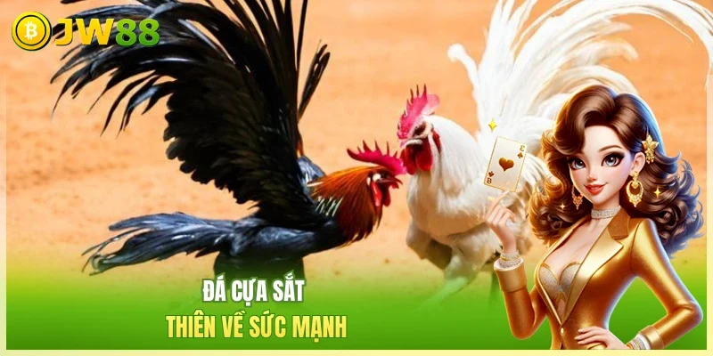 Đá Gà Trực Tiếp - Trọn Vẹn Thị Giác, Âm Thanh, Thưởng Lớn Đá Gà Trực Tiếp - Trọn Vẹn Thị Giác, Âm Thanh, Thưởng Lớn