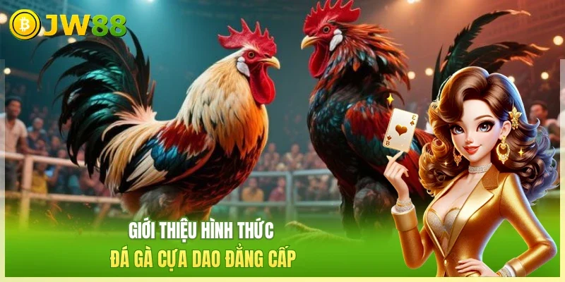 Đá Gà Cựa Dao - Trải Nghiệm Đấu Trường Kịch Tính 2026 Đá Gà Cựa Dao - Trải Nghiệm Đấu Trường Kịch Tính 2026