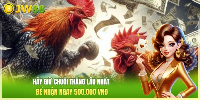 Đá Gà JW88: Đấu Trường Trực Tiếp Uy Tín Số 1 Châu Á 2026