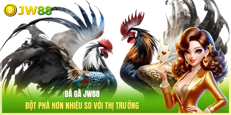 Đá Gà JW88: Đấu Trường Trực Tiếp Uy Tín Số 1 Châu Á 2026
